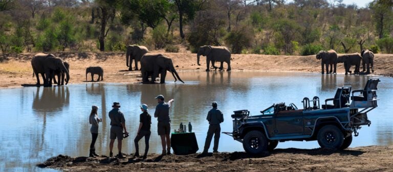 4-Day Luxury Timbavati Rockfig Safari Lodge